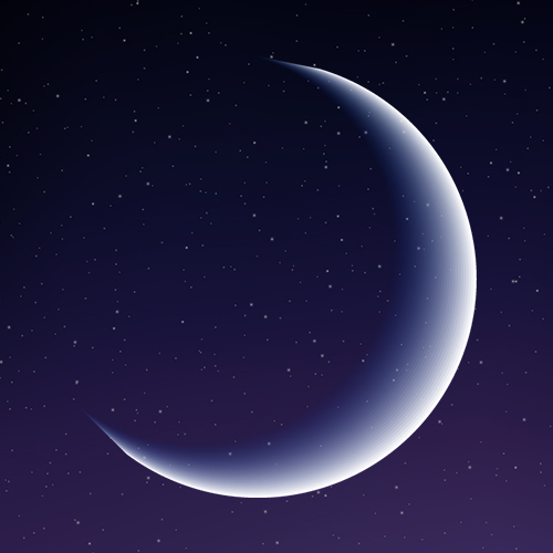 손연경 심볼마크 이미지